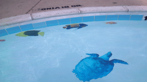 Pool art